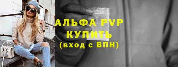 крисы Щигры