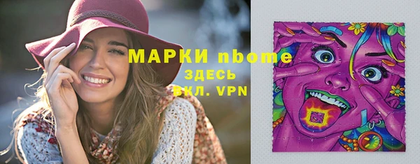 крисы Щигры