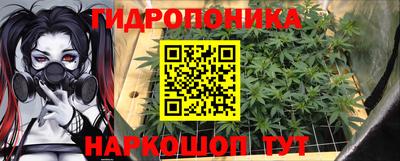 a pvp Канаш